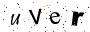 Enter Text as Shown